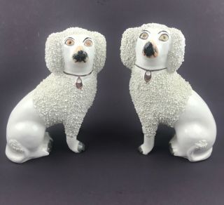 Pair Antique Staffordshire England Confetti Poodle Spaniel Dog Figurines 6 "