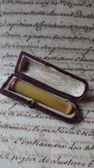 Antique French Cheroot Cigarette Holder Gold Tip In Case C1890
