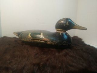 Antique Vtg Mason Glass Eye Drake Wood Duck Decoy W/shot Holes In Face