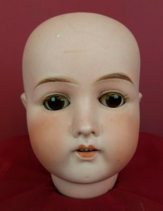 Antique German Gans & Seyfarth Bisque Socket Head Doll Brown Sleep Eyes