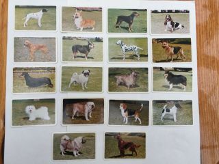 18 Golden Fleece Vintage Collectable Swap Cards Dogs 1 To 18 Of 36 Auto Ephemera