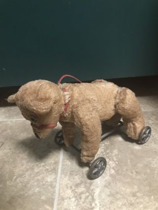 Vintage Mohair Bear On Wheels Pull Toy