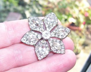 Spectacular Antique Georgian Black Dot Diamond Paste Foil Back Flower Brooch