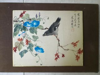 Antique Chinese Watercolor Painting - Bird And Flower 3