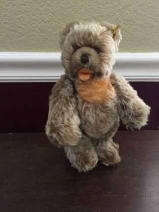 Steiff Peter ' s Zotty Teddy Bear,  5 Jointed,  No noise box,  Vintage 1970 ' s Era 2