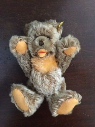 Steiff Peter ' s Zotty Teddy Bear,  5 Jointed,  No noise box,  Vintage 1970 ' s Era 3