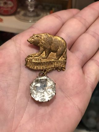 Rare Hard To Find Antique California 1925 Diamond Jubilee Bear Pin With Stone