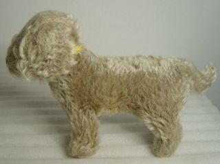 Lovely Vintage 50s Steiff Mohair Raudi Dachshund Dog With Button And Tag