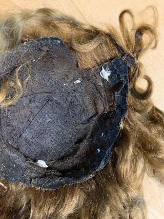 Possible Old Wig For Antique Doll - brown 3