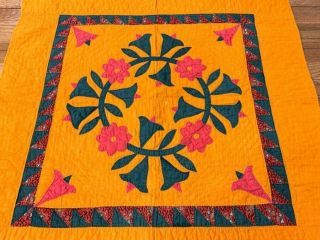 Early c 1850 - 60s ALBUM Applique PA Crib Quilt Cheddar RED Antique 3
