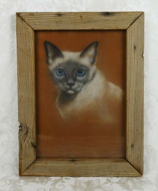 Vintage Mid Century Pastel Oil Painting Of Siamese Cat Animal Portrait Signed