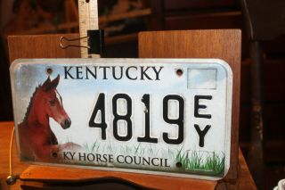 2015 Kentucky License Plate 4819ey Ky Horse Council