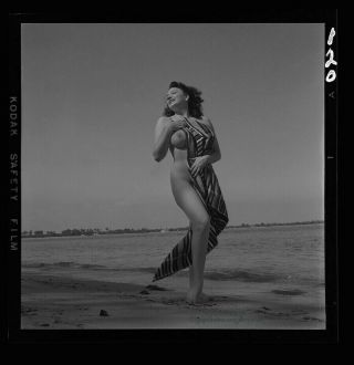 Bunny Yeager 50s Pin - Up Camera Negative Photograph Burlesque Queen Evelyn West 2