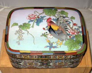 Stunning Large 19c Japanese Silver Wire Cloisonne Enamel Document Box W/rooster