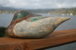 Duck Decoy,  Greenwing Teal Drake,  Long Island Or Jersey?,  Hand Carved/painte