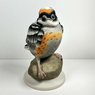 Vintage Boehm Porcelain Fledgling Blackburnian Warbler Bird Figurine 478 4 " H