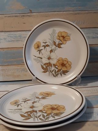 3 Vtg Town & Country Stoneware Dinner Plates Mill Run 10.  5 " Floral Beige 70 
