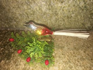 Vintage German Mercury Glass Bird Clip On Christmas Tree Ornament 4.  5 " Long