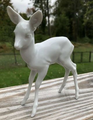 Rosenthal White Porcelain Figurine Standing Fawn Baby Deer