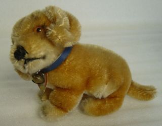 Lovely Vintage 50s Steiff Mohair Sitting Bazi Dachshund Dog With Button And Tag