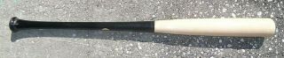 Rays KEVIN KIERMAIER Marucci Model AP5 uncracked maple baseball bat 33.  5/31.  5 3