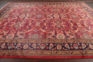 Vintage Geometric All - Over Mahal Sarouk Area Rug Hand - Knotted Scarlet Wool 10x13