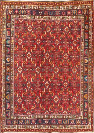 Red 7x9 Area Rug Oriental Geometric Wool Hand - Knotted All Over Kashkoli Carpet