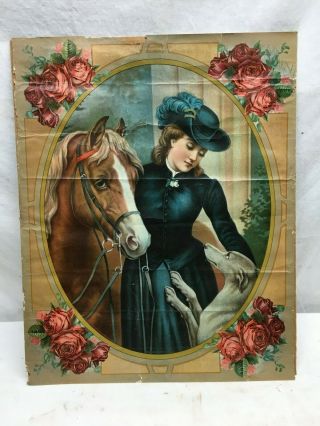 Vintage Litho Art Deco 1900s Print 15in X 20in Lady / Horse/ Whippet,  Rose,