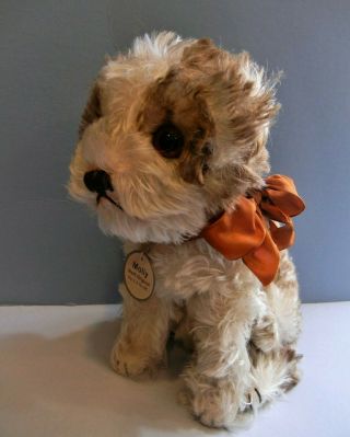 Antique Steiff Molly Dog 1925 - 26 (only) Ff Button & Early Pendant Exc 22cm Rare