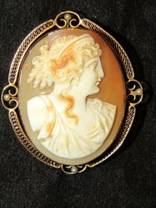 Antique 10k Gold Cameo Brooch Pin Victorian With Seed Pearls In Jeweler 