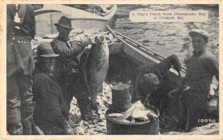 Crisfield Maryland Chesapeake Bay Fishing Vintage Postcard Ji657187