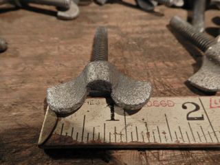 antique bolt screw vintage ornate thumb turn fastener 1/4 - 20 X 1 1/4 ins. 3