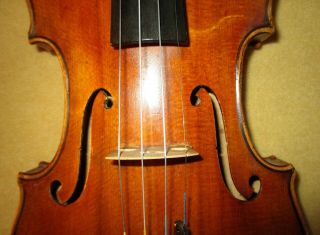 Rare Fine Old Antique 1860 Vintage Italian Label 4/4 Violin - Cannon Of Warm Sound 3