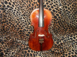 Antique Violin 4/4 Antonius Stradivarius Made In Germany 1920