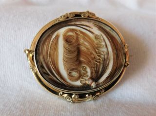 Antique Mourning Hair Brooch Prince Of Wales Feather Milk Glass Gold Foil Pearls