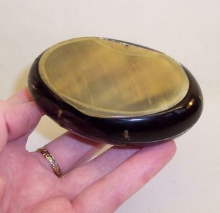 Vintage Scottish Cattle Horn Snuff Box Oval/pocket