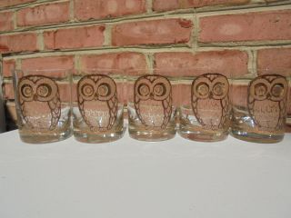 5 Vintage Georges Briard Mid Century Modern Owl Glasses Tumblers