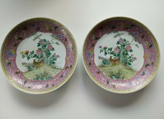 Rare Pair Large Chinese Porcelain Famille Rose Chargers - Museum Quality,  Quails