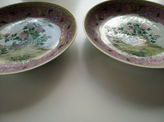 RARE PAIR LARGE CHINESE PORCELAIN FAMILLE ROSE CHARGERS - MUSEUM QUALITY,  QUAILS 2