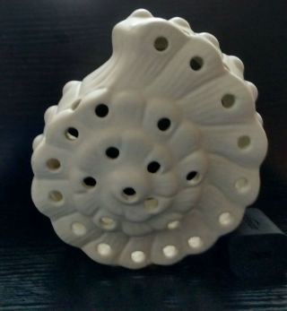 Vintage Van Briggle Art Pottery Flower Frog 5 1/2 " Nautilus Shell 38 Holes