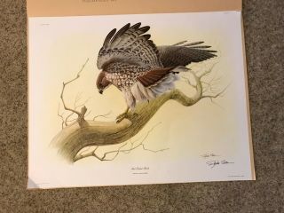 Vintage Richard Sloan " Red Tailed Hawk " Lithograph Le Hand Signed,  22 X 28 C1973