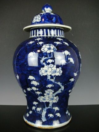 Very Fine Chinese Porcelain B/w Vase&cover - Flowers - 19th C.