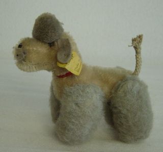 Vintage 50s/60s Steiff Grey Mohair Snobby Poodle Dog With Button And Tag