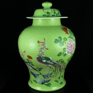 Chinese Famille Rose Porcelain Vase Lime Ground Jar Phoenix Urn19/20th C.