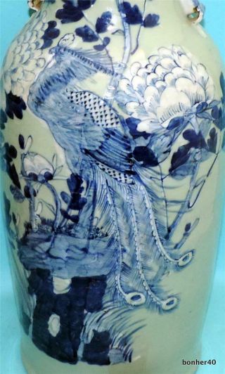 Large Chinese Porcelain 19thc Qing Celadon Blue White Phoenix Baluster Vase
