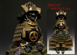 Japan Antique Edo Gold Yoroi Kabuto Set Child 柏 Koshirae Armor Katana Samurai 武将