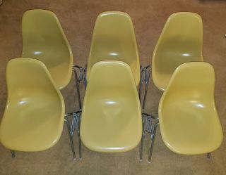 6 Vintage Eames Herman Miller Light Yellow Fiberglass Shell Chairs Mid Century