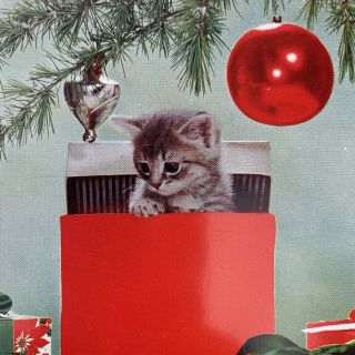 Vintage Greeting Card Christmas Mid Century Cute Kitten Cat In Gift Under Tree