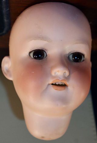 Antique C1890 5 1/4 " Am 390 Bisque Doll Head,  11 " Circumference