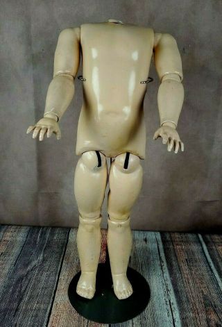 Antique German Large 22 " Doll Body Fully Jointed For Bisque Socket Doll Head